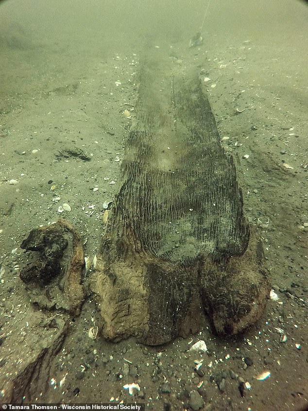 A prehistoric discovery of at least 11 ancient canoes found at the bottom of a Wisconsin lake could lead archaeologists to a long-lost village. Pictured is a 3,000-year-old ship in its original resting place.