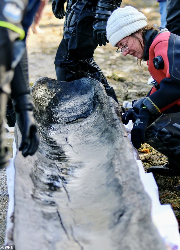 The recovery team used flotation bags to lift the boats from the bottom of the lake and floated them underwater up the beach until they reached shore.