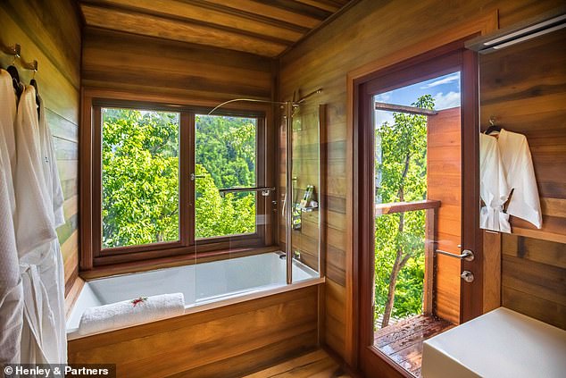 What a view: the property in Dominica is surrounded by stunning scenery