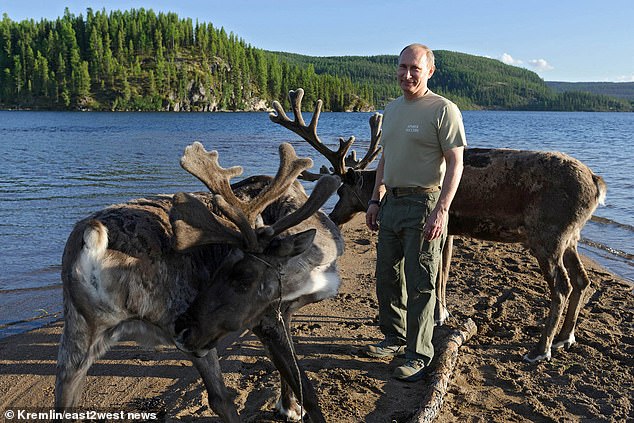 Putin is seen with deer on his visit to the Sayano-Shushenksy reserve in 2013.