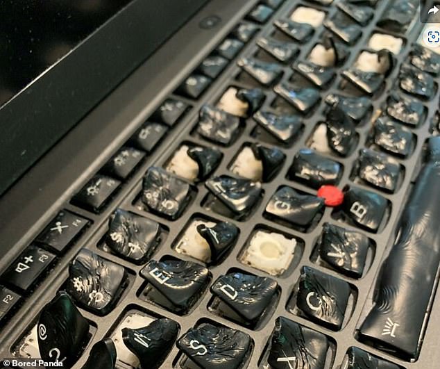 This well-intentioned person accidentally dropped coffee on his keyboard and then put it in the oven to 