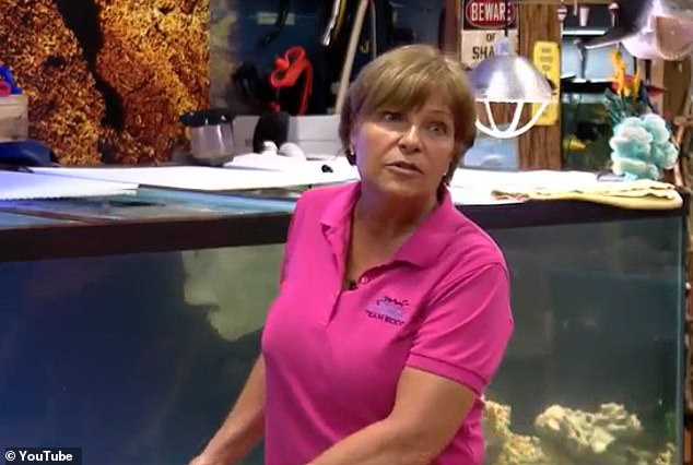 Brenda Ramer founded Team ECCO Ocean Center and Aquarium, also known as The Aquarium & Shark Lab, in 2009. Before the big move, Ramer was a teacher in Henderson County for almost 10 years.