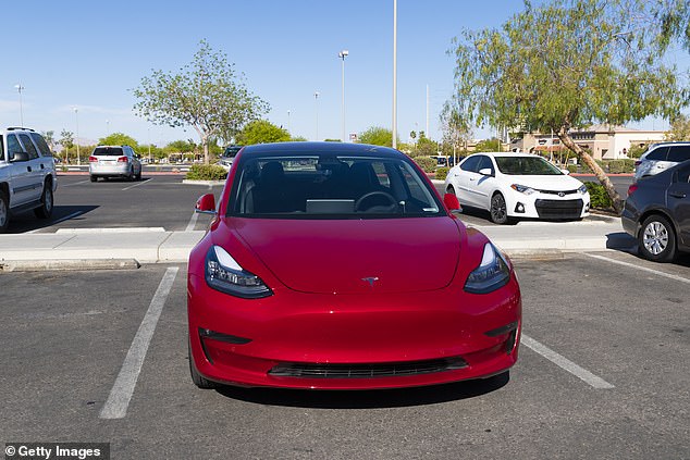 Tesla has manual door openers that are designed to be used when the vehicle has no power, but you decided to wait in case you damaged your car.