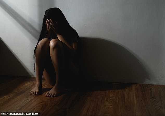 The father said his stepdaughter was constantly harassed and intimidated by his ex-partner, who had been convicted of crimes related to domestic violence (file image)