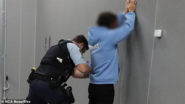 Lewis was one of three A-League players arrested for their alleged role in betting corruption.