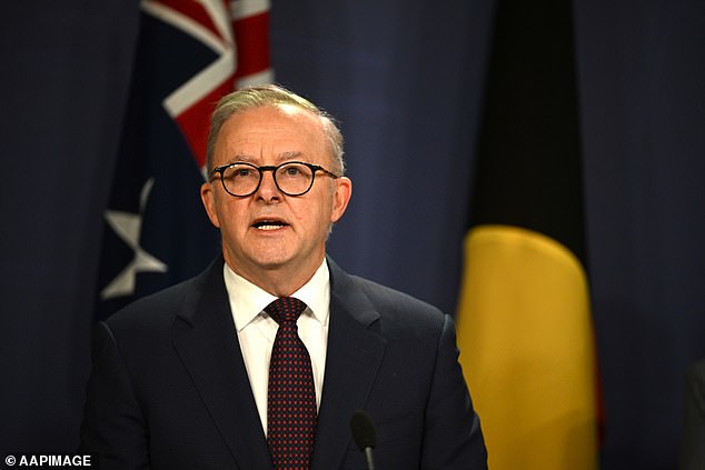 Prime Minister Anthony Albanese (pictured) has announced that those escaping domestic violence will be eligible for a quit violence payment of up to $5,000.