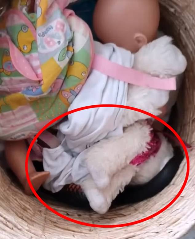 Australian mother makes terrifying discovery hidden inside her daughters toy