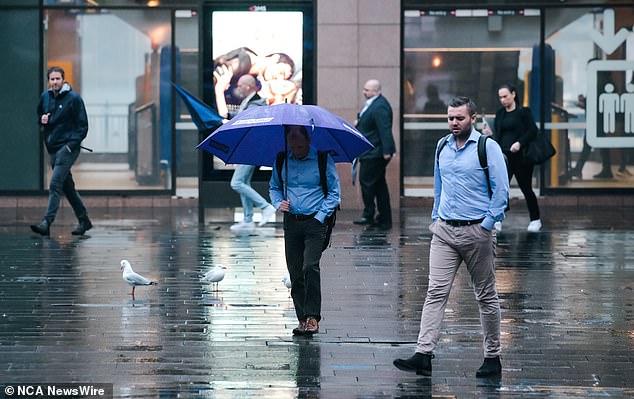 Australia's east coast is bracing for weekend flooding and Sydney (pictured on Wednesday) will be hit with more than a month's worth of rain in just 48 hours.