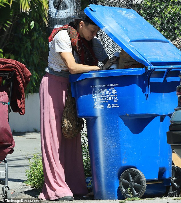 Former model Loni Willison has been seen dragging a shopping cart full of her belongings and rummaging through trash bins on the streets of Los Angeles.