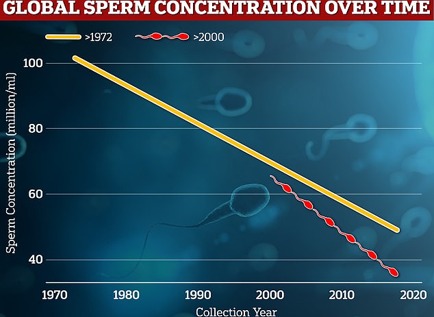 The graph shows: The sperm concentration rate is decreasing globally from samples collected between 1972 and 2000 (orange) and since 2000 (red).