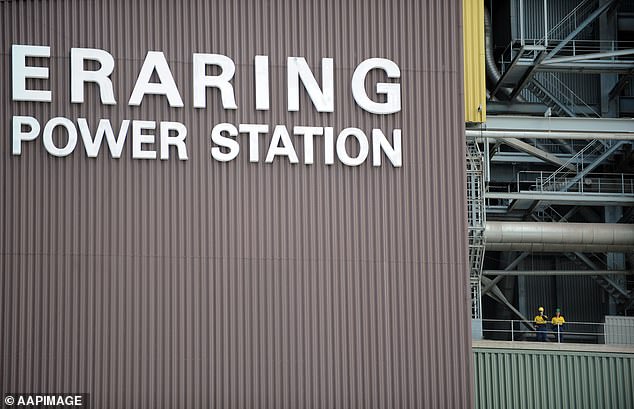 Opened in 1984, the Eraring operation (pictured) is Australia's largest coal-fired power station.