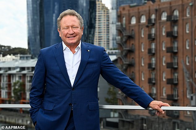 Andrew 'Twiggy' Forrest (pictured) was a big winner in the federal budget, following the introduction of generous tax incentives for his public and private business interests.