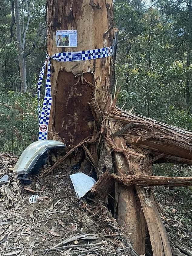 Mr Wilson's car was found crashed into a tree.