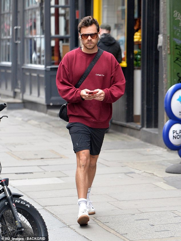 Styles was spotted in London's Soho on May 18, weeks after his reported split from the Canadian actress.