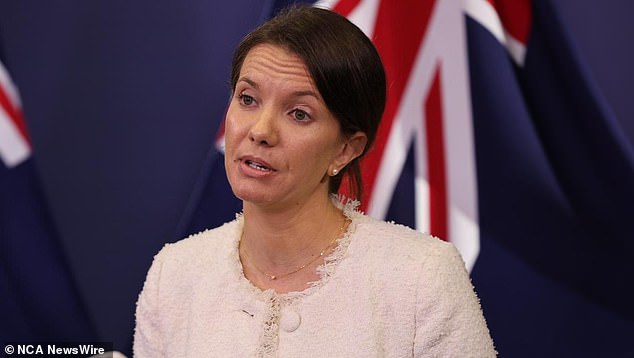 NSW Homelessness Minister Rose Jackson (pictured) was unable to guarantee the survival of the housing programme.