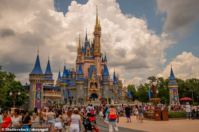 Disney Land is located in Orlando, Florida, has an average of 58 million visitors per year and is considered the most visited resort.