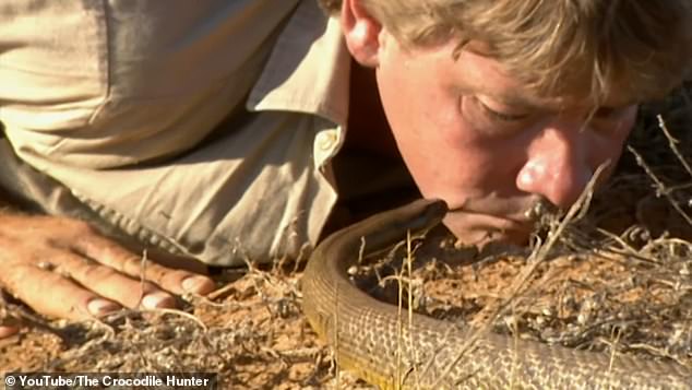 Boettcher criticizes social media influencers who try to copy a famous Steve Irwin trick