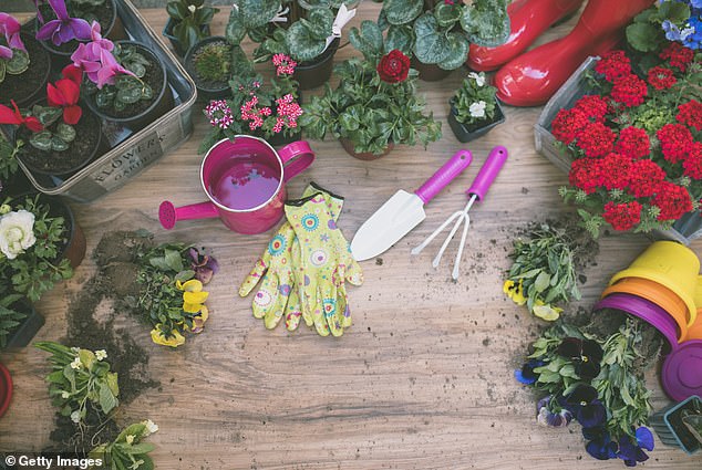 Gardening experts at Garden Buildings Direct have discovered the top five garden tasks that should be put off during spring until the time is right (stock image)