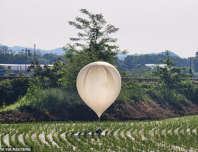 A balloon believed to have been sent by North Korea, carrying several objects, including what appeared to be garbage and excrement, is seen over a rice field in Cheorwon, South Korea, on Wednesday.