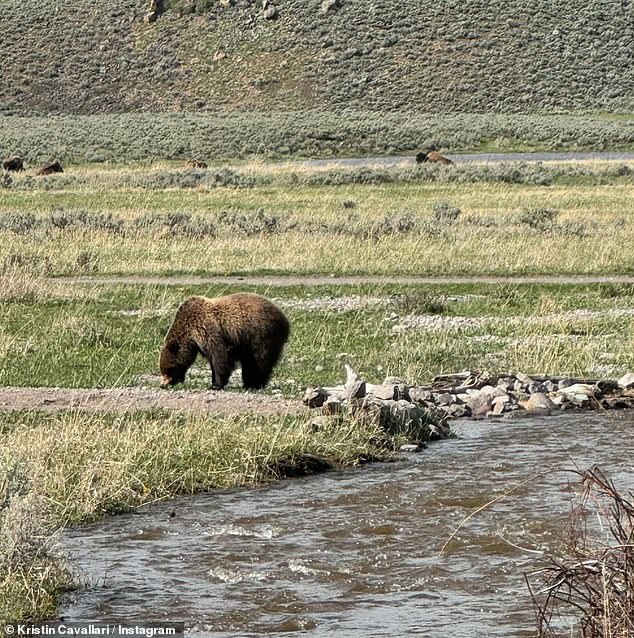 She captured the vibe of Montana's wilderness in her photographs.