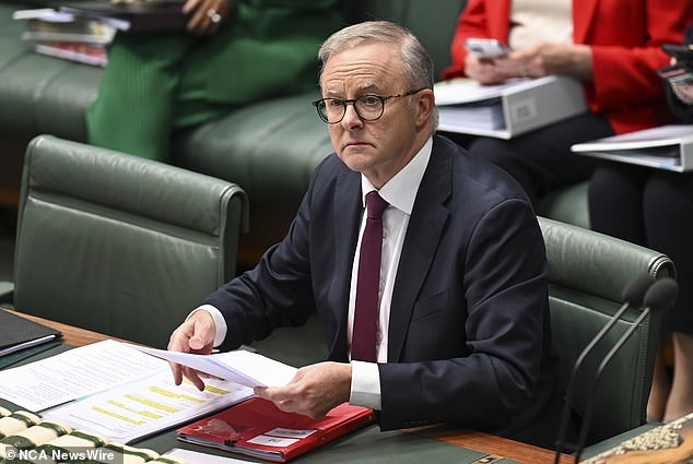 Prime Minister Anthony Albanese (pictured) is the only member of the cabinet's budget committee to have a degree in economics.