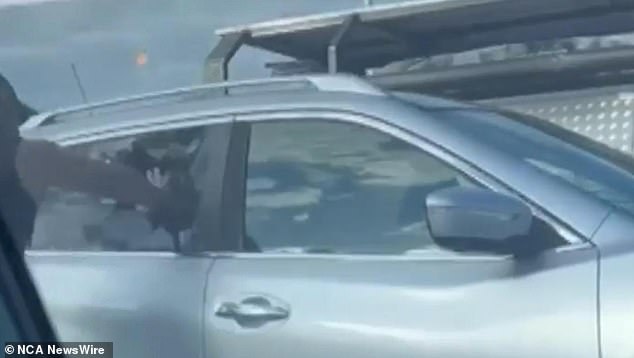 The man is seen breaking his hand through the back seat window.