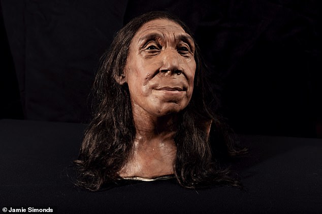 About 75,000 years ago, a middle-aged Neanderthal woman was buried in a cave in the foothills of Iraq.  Now, thanks to a dedicated team of archaeologists, her face can be revealed for the first time.
