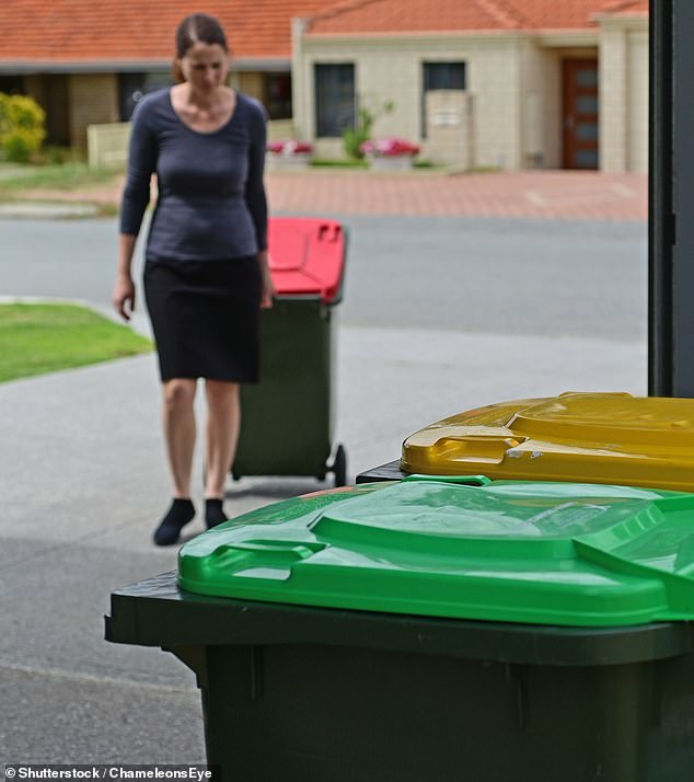 An Australian council is set to increase its controversial 'container tax' just a year after it was introduced (file image)