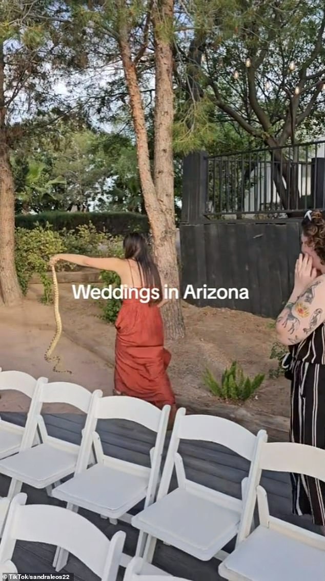 Several wedding guests laughed, recorded videos and took photos with their phones of Erica carrying the snake.