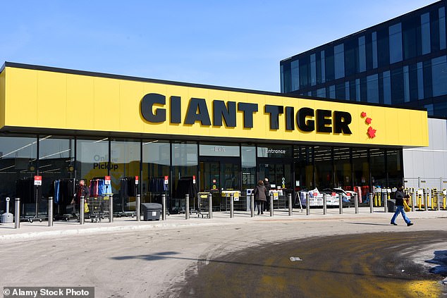 Franchise owner Scott Savage has removed all self-checkout lanes at his Giant Tiger discount store in Stratford, Ontario (pictured: a store in Ottawa).