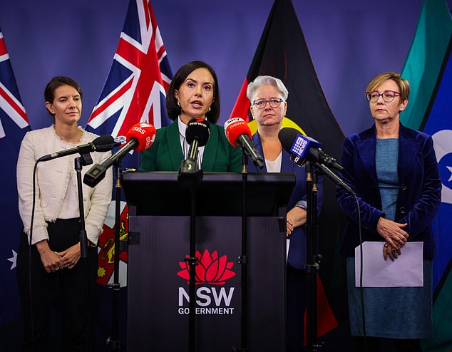 New South Wales Deputy Premier Prue Car (centre) announced a housing package to help women fleeing domestic violence on Friday, with details due next week.