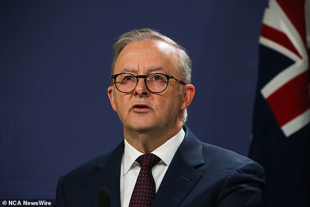 Prime Minister Anthony Albanese (pictured speaking at Wednesday's press conference) held crisis talks in response to Australians thinking the government was not doing enough to address rising violence against women.