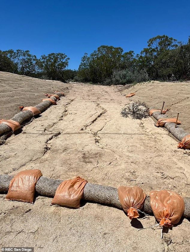 SD Crescentwood Cemetery, the nonprofit advocating for the project, proposes that the cemetery be located on 37 acres of virgin land between Interstate 8 and Old Highway 80 (pictured: access road was marked at the site of the proposed cemetery in Pine Valley)