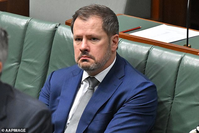 Labour's Ed Husic (pictured) had some home truths for the Treasurer. Perhaps he would be a strong leader willing to sack Andrew Giles?