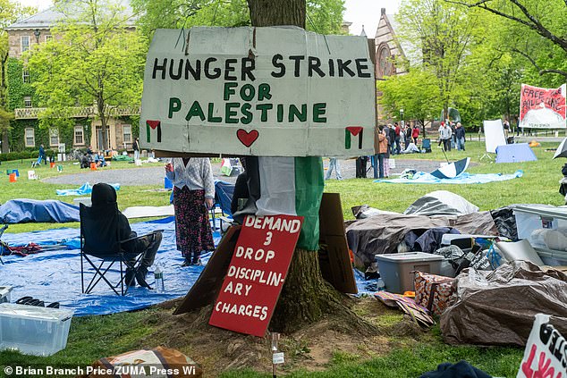 As has been the case at many prestigious schools in the United States, Princeton students set up a Gaza solidarity camp last month.