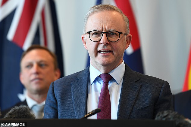 The series of cases has sparked widespread controversy with growing calls for Immigration Minister Andrew Giles to resign (pictured First Minister Anthony Albanese).