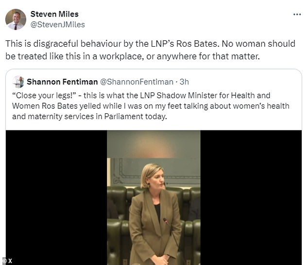 Queensland Premier Steven Miles called the comment 