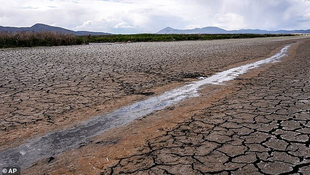 The California River was found to be nearing depletion with a 98 percent probability, the highest probability of all the watersheds.