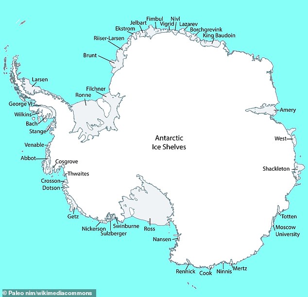 Antarctica is home to several ice shelves marked on this map, including Brunt, Shackleton, and Ross. Brunt is east of the Antarctic Peninsula (the part that sticks out of the Antarctic continent like a small tail)