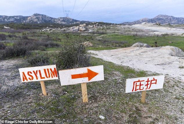 A Chinese migrant camp near Jacumba, California, has signs showing Chinese asylum seekers where to surrender to U.S. Border Patrol agents.