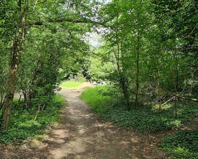 Prosecutors say the girl was abused by a group of 12 boys on three occasions between April 2 and 6 during the Easter holidays (pictured: the wooded area where the alleged attack took place).