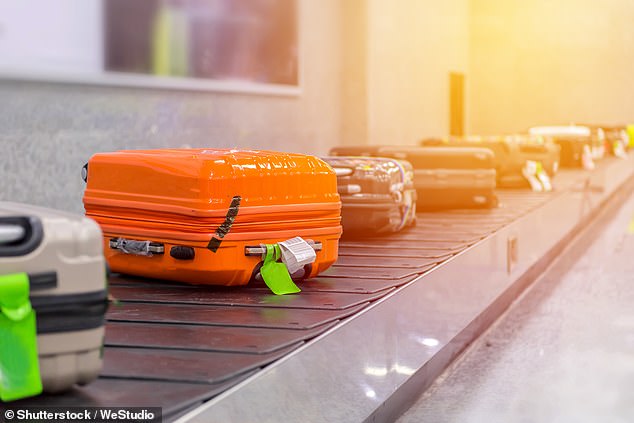 The 52-year-old woman was unloading luggage from a Loganair flight arriving in the capital from Dundee when the item of clothing got caught in the machine (Stock photo)