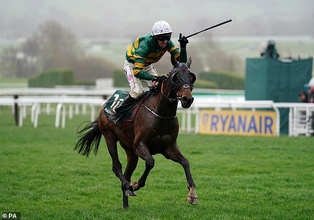 Sire Du Berlais suffered a fatal injury during the Champion Stayers Hurdle on Thursday