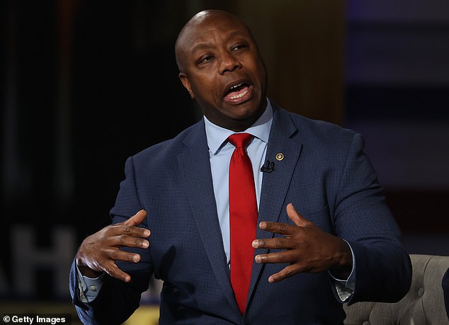 South Carolina Sen. Tim Scott checks many of the boxes that former Vice President Mike Pence checked, according to an anonymous senator.