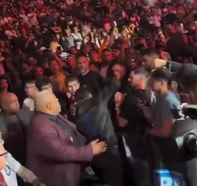 Arman Tsarukyan punches a fan on the way to his fight at UFC 300 in Las Vegas