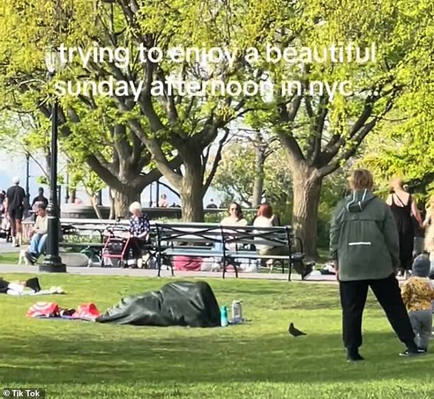 Shocking footage captured the moment a cheeky couple appeared to have sex in Manhattan's Battery Park in broad daylight.