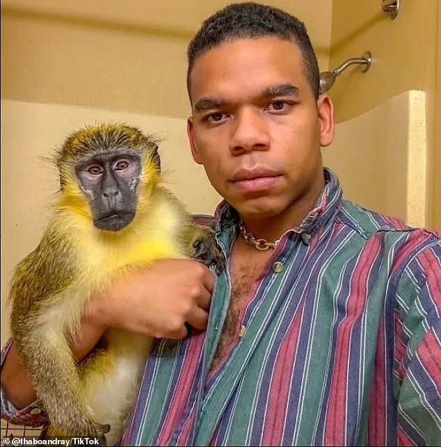 TikToker Kim Raymond Feaste, 31, has gained more than 3.4 million followers on the account he shares with his pet monkey 'Thabo'.