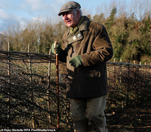 King Charles, then Prince of Wales, attends a hedge laying event in Highgrove, December 2021