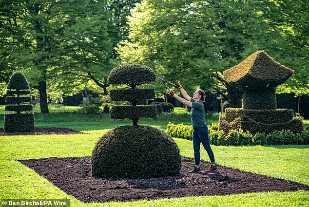 A gardener tends a topiary bush at the private residence of King Charles III and Queen Camilla in Highgrove Gardens, May 2024.