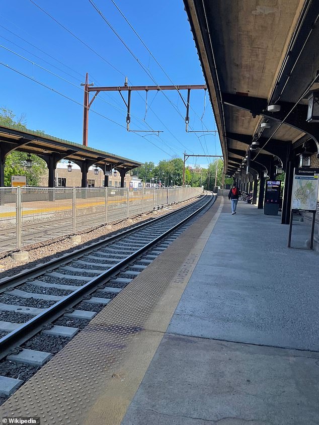 Fitzgerald was left clinging to a platform wall after being hit by a New Jersey Transit train at the Morristown train station, as seen here.